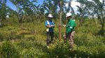Pengembalian Fungsi Lahan Bekas Tambang