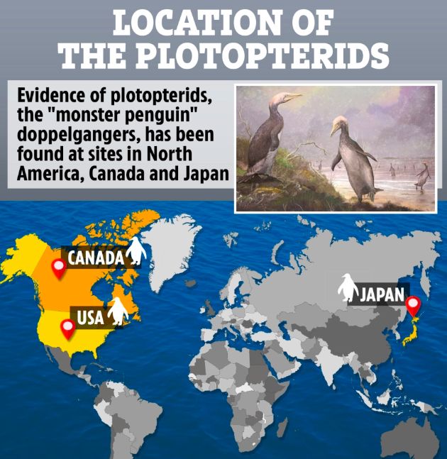 penguin purba