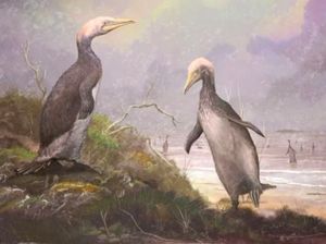 Penguin Purbakala Lebih Tinggi dari Manusia!