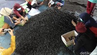 Usaha ini dirintis Sudirman (39) pada 2017 yang berawal dari rasa penasaran saat mengetahui sejumlah warga dari luar Sulawesi berdatangan dan membeli arang warga di daerah ini dengan harga tinggi.