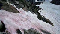 Sebuah fenomena tak biasa terjadi di Pegunungan Alpen. Pegunungan yang biasanya diselimuti salju putih itu kini berganti jadi warna pink (Miguel Medina/AFP)