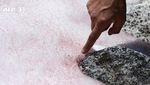 Potret Salju Berwarna Pink di Pegunungan Alpen