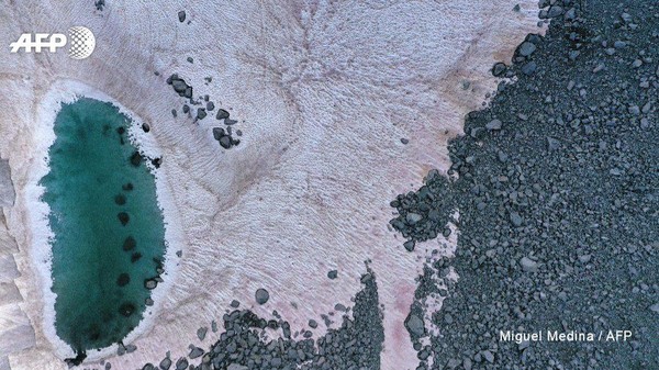 Disebutkan, algae serupa juga dapat ditemui di zona gelap Greenland. Sebuah kawasan yang ditutupi debu dan karbon hitam yang membantu penyerapan nutrisi untuk algae berwarna gelap (Miguel Medina/AFP) Disebutkan, algae serupa juga dapat ditemui di zona gelap Greenland. Sebuah kawasan yang ditutupi debu dan karbon hitam yang membantu penyerapan nutrisi untuk algae berwarna gelap (Miguel Medina/AFP)