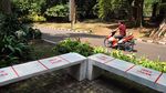 Siap-siap! Besok Kebun Raya Bogor Dibuka Lagi Lho