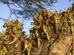 10 Bencana Paling Misterius dalam Sejarah, Bikin Merinding