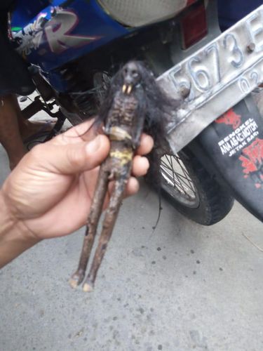 Warga temukan dua jenglot di Sragen, Juli 2020.