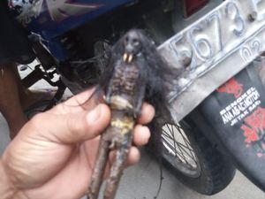 Lokasi Penemuan 2 Jenglot Ternyata Sering Didatangi Pencari Jimat