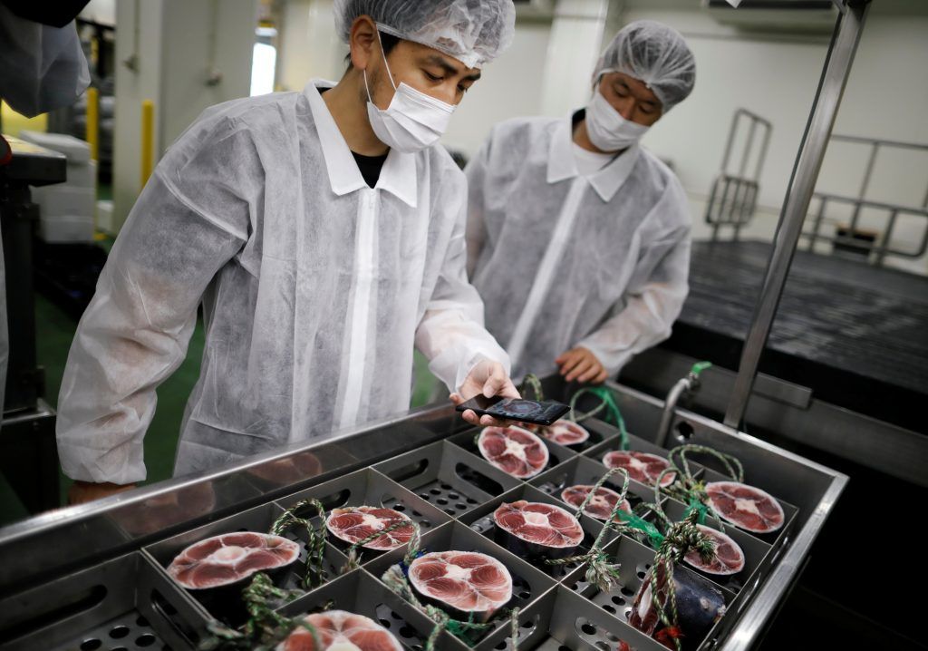 Aplikasi Pemindai Ikan Tuna
