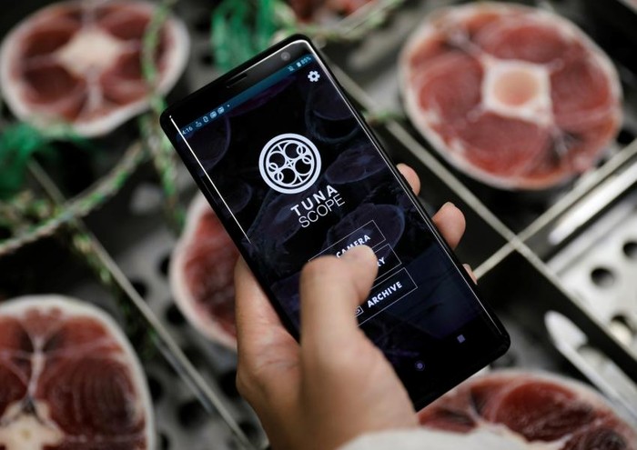 Aplikasi Pemindai Ikan Tuna