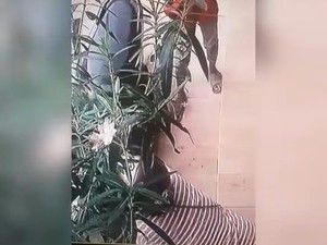 Miris! Emak-emak yang Curi Bunga di Ketandan Malioboro Bawa 2 Bocah