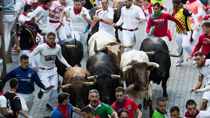 Participants run next to Palmosilla fighting bulls on the seventh bullrun of the San Fermin festival in Pamplona, northern Spain, on July 12, 2019. - People from around the world flock to the city of 200,000 residents to test their bravery and enjoy the festivals mix of round-the-clock parties, religious processions and concerts. (Photo by JAIME REINA / AFP)