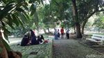 Kebun Raya Bogor Buka Lagi, Ini Syarat buat Pengunjung