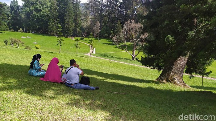 Kebun Raya Cibodas