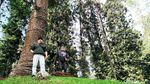 Baru Dibuka Kembali, Ini Spot Instagramable Kebun Raya Cibodas