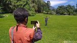 Baru Dibuka Kembali, Ini Spot Instagramable Kebun Raya Cibodas