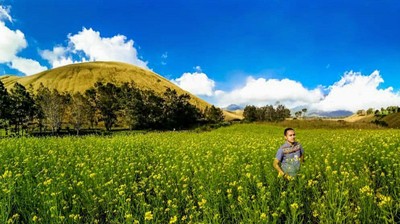Wow! Kawasan di Bondowoso Ini Disebut Mirip Pulau Jeju Korsel
