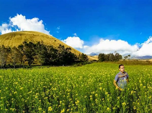 Wow! Kawasan di Bondowoso Ini Disebut Mirip Pulau Jeju Korsel