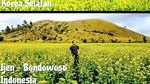 Wow! Kawasan di Bondowoso Ini Disebut Mirip Pulau Jeju Korsel