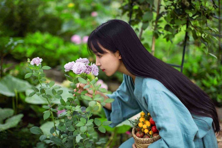 Li Ziqi Li Ziqi