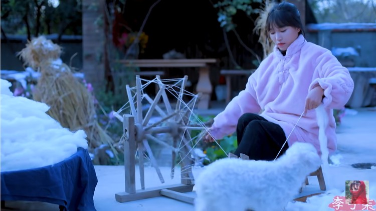 Li Ziqi Li Ziqi