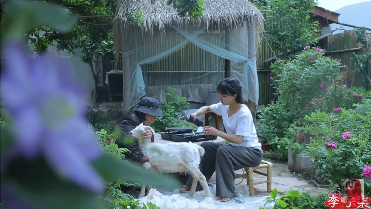Li Ziqi Li Ziqi