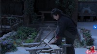 Li Ziqi