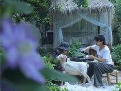 Misteri Hilangnya YouTuber China Li Ziqi yang Pecahkan Rekor Dunia