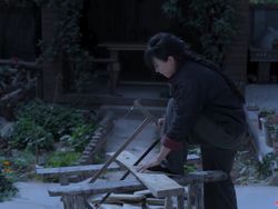 Misteri Hilangnya YouTuber China Li Ziqi yang Pecahkan Rekor Dunia