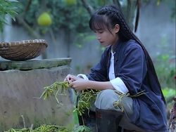 Misteri Hilangnya YouTuber China Li Ziqi yang Pecahkan Rekor Dunia