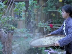 Misteri Hilangnya YouTuber China Li Ziqi yang Pecahkan Rekor Dunia