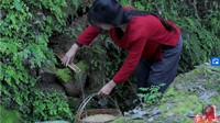 Li Ziqi
