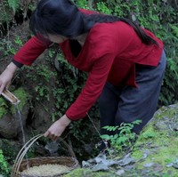 Hal lain yang juga mengagumkan dari Li Ziqi adalah ia menyutradarai sendiri vlog-vlog tersebut. Sebelum punya videographer dan asisten, wanita itu pun mengerjakan semuanya sendirian. Foto: YouTube Li Ziqi