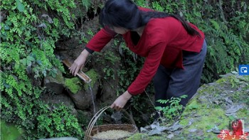 Li Ziqi jarang berbicara kepada penonton dalam videonya. Sampai saat ini, dia hanya memposting satu video untuk menjawab pertanyaan pemirsanya tentang kewarganegaraannya. Foto: YouTube Li Ziqi