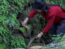 Fakta Menarik Li Ziqi, YouTuber Desa Menawan Pemecah Rekor Dunia