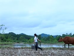 Fakta Menarik Li Ziqi, YouTuber Desa Menawan Pemecah Rekor Dunia