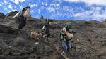 Melihat Ritual Yadnya Kasada Suku Tengger