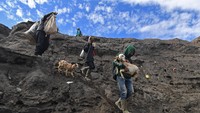 Warga membawa kambing yang merupakan persembahan masyarakat Suku Tengger di kawah Gunung Bromo saat perayaan Yadnya Kasada, Probolinggo, Jawa Timur, Selasa (7/7/2020). ANTARA FOTO/Zabur Karuru.