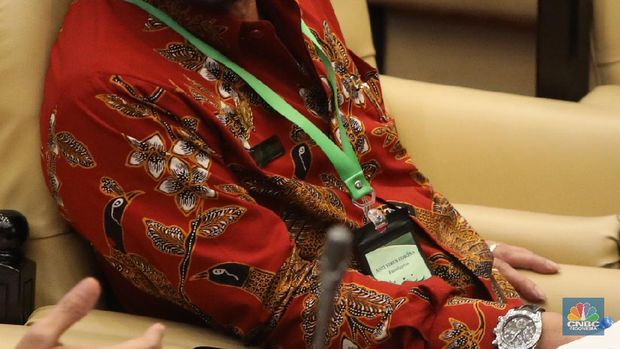 Menteri Pertanian (Mentan) Syahrul Yasin Limpo menghadiri rapat kerja bersama Komisi IV DPR RI, Selasa (7/7) dengan menggunakan kalung antivirus corona. (CNBC Indonesia/ Muhammad Sabki)