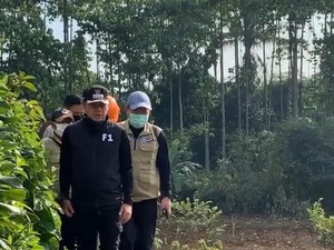 Sungai Ciliwung Bakal Jadi Tempat Wisata Sehat di Tengah Pandemi