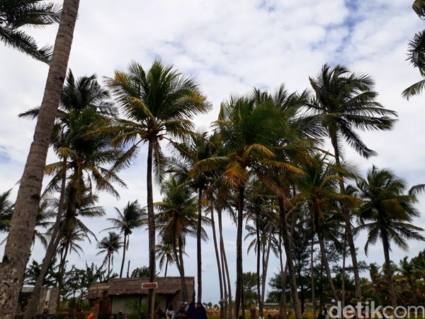 Pondok Bambu Rangdo menyediakan berbagai fasilitas seperti spot-spot foto, toilet, ayunan, tempat duduk, dan yang menjadi icon yakni cottage atau pondok bambu yang memberikan nuansa tradisional. (Kristina/detikcom)