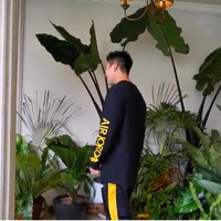 Sudut favorit Ashanty di halaman belakang. Di sinilah, dia memajang koleksi tanaman mahal. Harganya seharga jam kamu, kata Ashanty kepada Anang. (Foto: YouTube/Baim Paula)