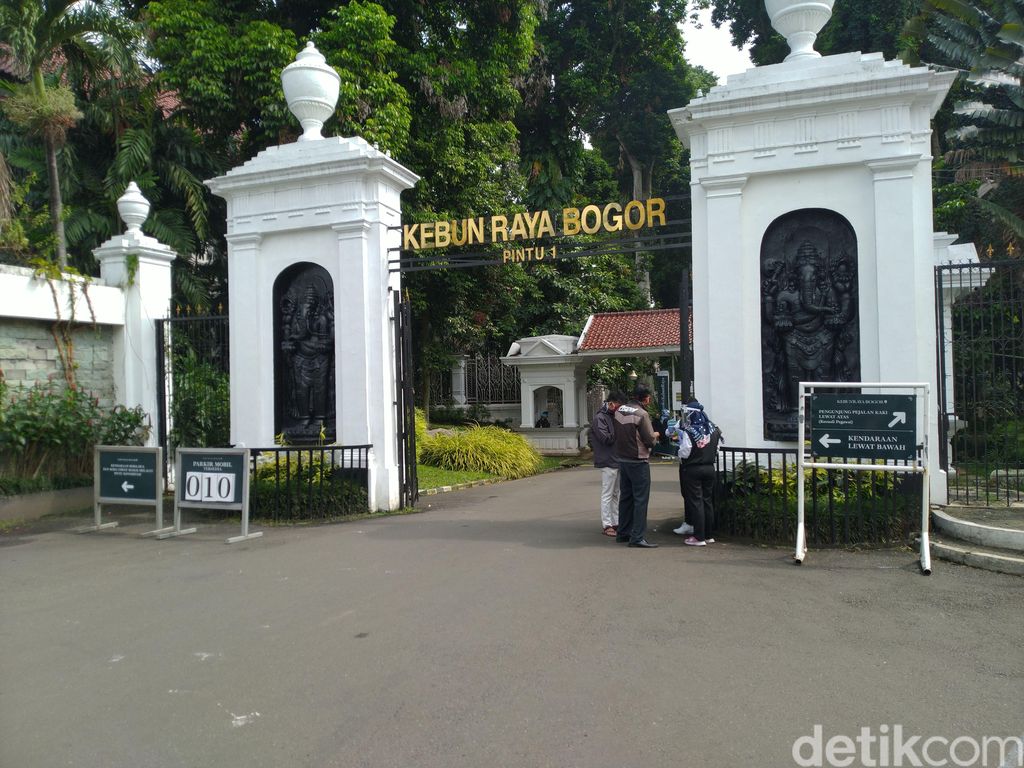 Suasana Kebun Raya Bogor, Jawa Barat, Selasa (7/7/2020).