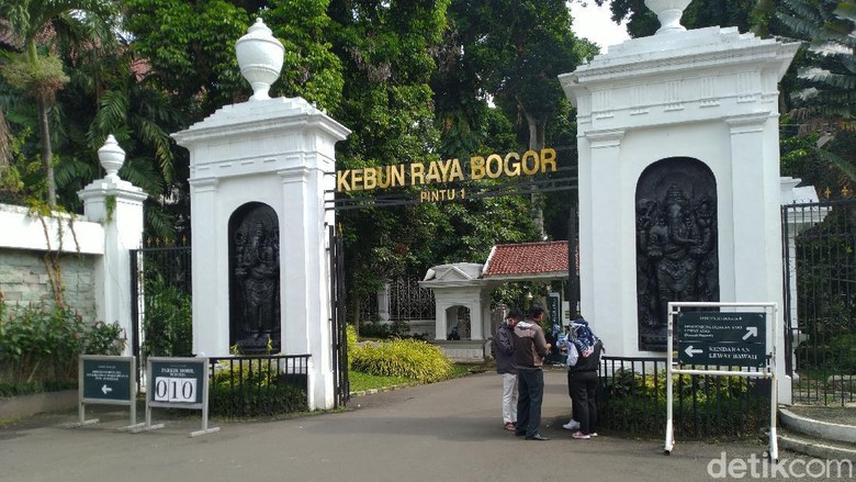 Suasana Kebun Raya Bogor, Jawa Barat, Selasa (7/7/2020). Suasana Kebun Raya Bogor, Jawa Barat, Selasa (7/7/2020).