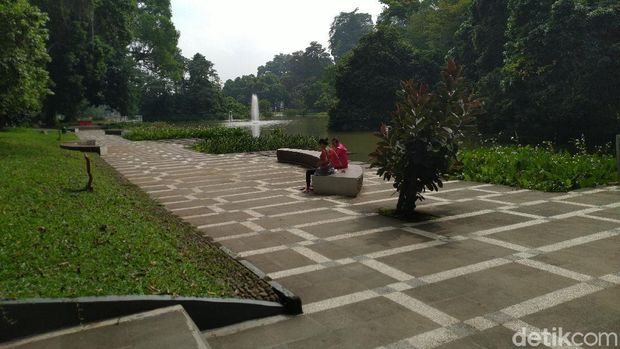 Suasana Kebun Raya Bogor, Jawa Barat, Selasa (7/7/2020).