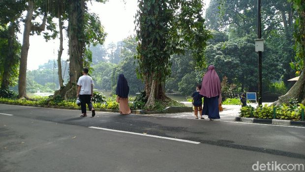 Suasana Kebun Raya Bogor, Jawa Barat, Selasa (7/7/2020).
