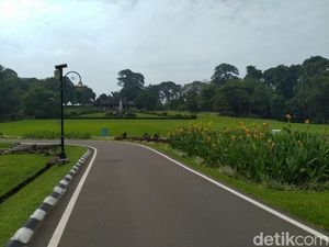 Kebun Raya Dibuka Bertahap, LIPI Ingin Wisatawan Naik Kelas