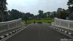 Kebun Raya Bogor Buka Lagi, Ini Syarat buat Pengunjung
