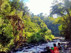 Sori Nae, Suasana Hutan yang Sejuk dan Asri di Desa Saneo NTB