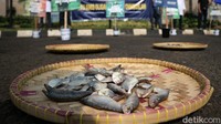 Ikan asin yang dibawa para peserta aksi dikumpulkan di sejumlah tampah.