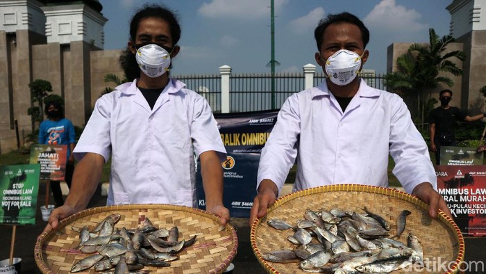 Aksi Tolak Omnibus Law Aktivis Koalisi Rakyat untuk Keadilan Perikanan (KIARA) melakukan aksi dengan membawa ikan di depan Gedung DPR, Jakarta, Rabu (8/7/2020). Dalam aksinya mereka menolak Rancangan Undang-Undang Omnibus Law Cipta Kerja. Mereka berpendapat RUU ini disusun dan dibahas bukun untuk melindungi masyarakat dan sumber daya alam Indonesia melainkan sebaliknya untuk memanjakan kepentingan oligarki yang telah lama menguasai kebijakan di negara ini.